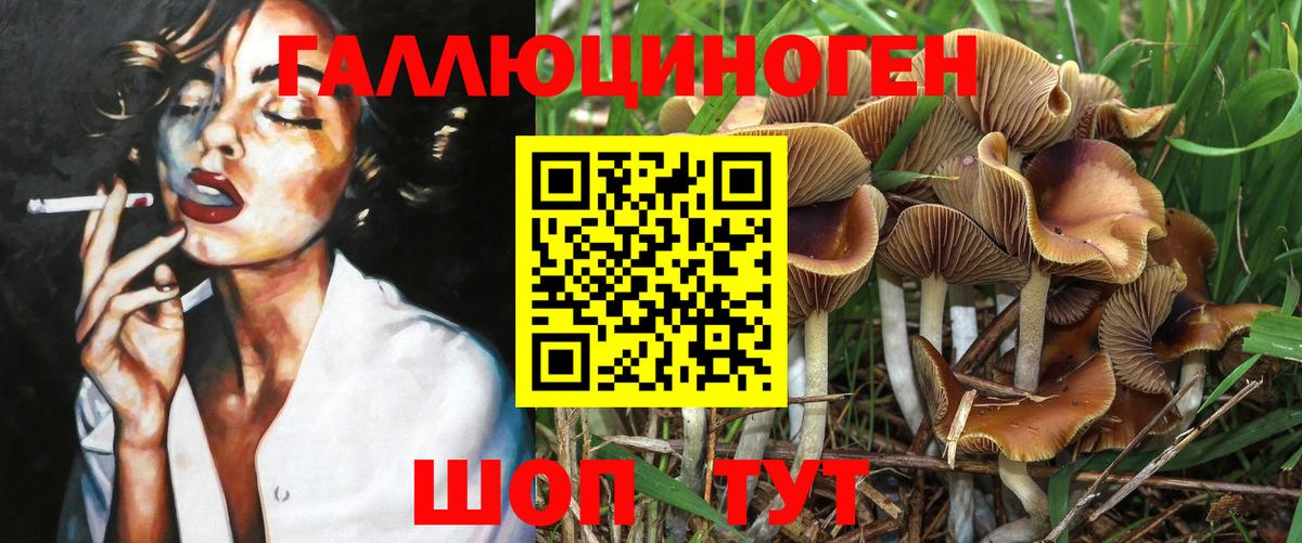 Богданович  Псилоцибиновые грибы мухоморы  Вход с VPN 