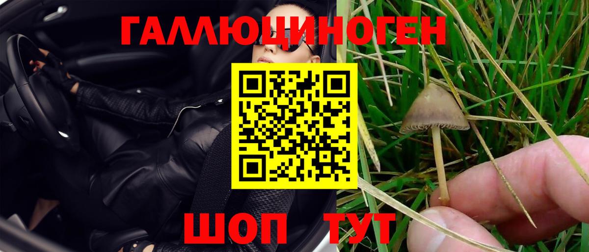Галлюциногенные грибы GOLDEN TEACHER Богданович